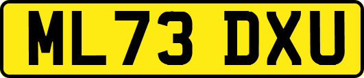 ML73DXU