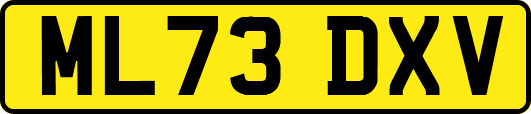 ML73DXV