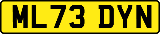 ML73DYN