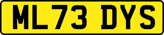 ML73DYS