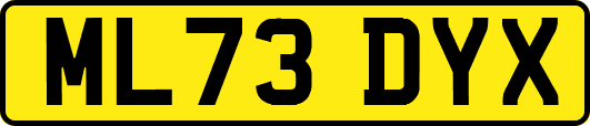 ML73DYX