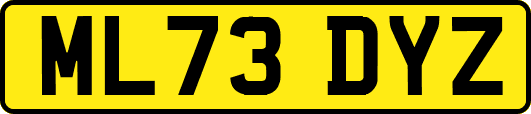 ML73DYZ