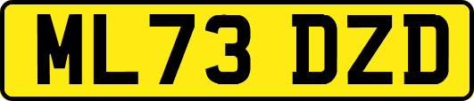 ML73DZD