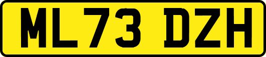ML73DZH
