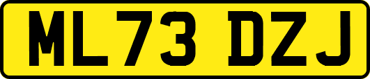 ML73DZJ