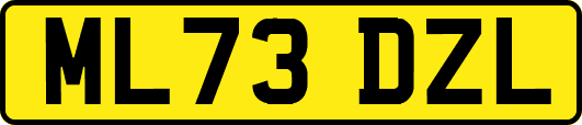 ML73DZL