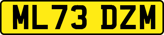 ML73DZM