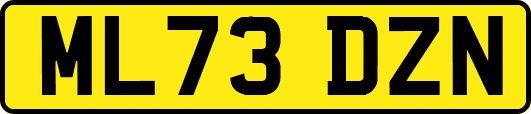 ML73DZN