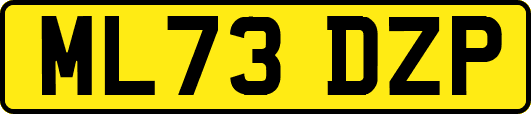 ML73DZP