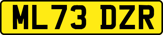 ML73DZR