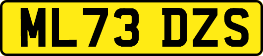 ML73DZS