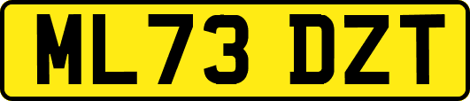 ML73DZT