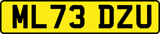 ML73DZU