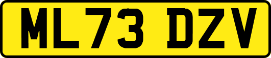 ML73DZV