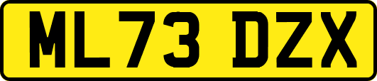 ML73DZX