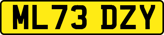 ML73DZY