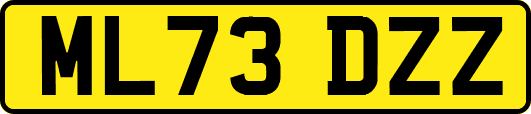 ML73DZZ