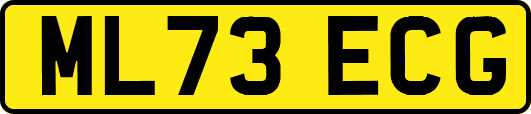 ML73ECG
