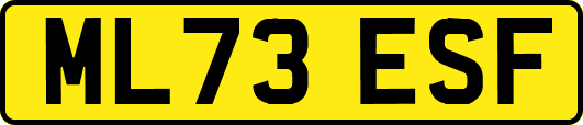 ML73ESF