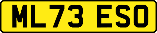 ML73ESO