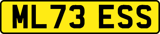 ML73ESS