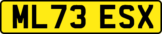 ML73ESX