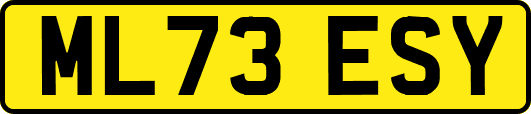 ML73ESY