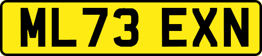 ML73EXN