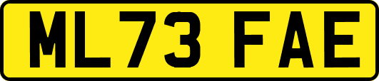 ML73FAE