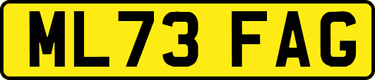 ML73FAG