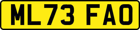 ML73FAO