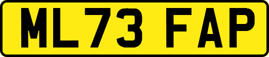 ML73FAP