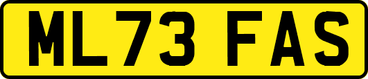 ML73FAS