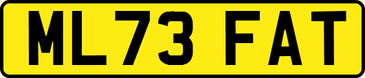 ML73FAT