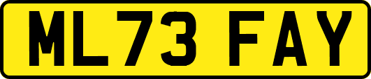 ML73FAY