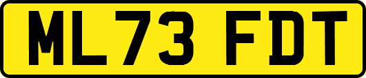 ML73FDT