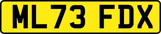ML73FDX
