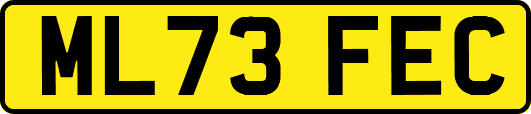 ML73FEC