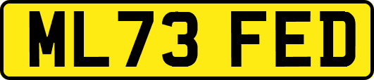 ML73FED
