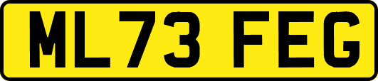 ML73FEG