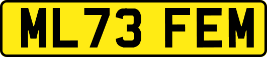 ML73FEM