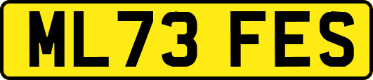 ML73FES