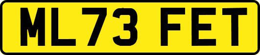ML73FET
