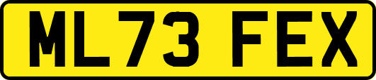 ML73FEX
