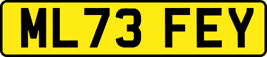 ML73FEY