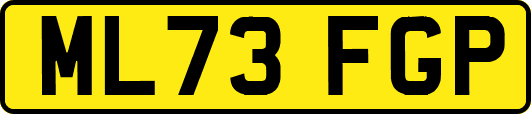 ML73FGP