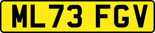 ML73FGV
