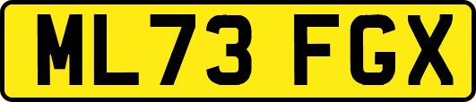 ML73FGX