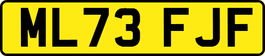 ML73FJF