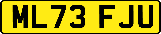 ML73FJU